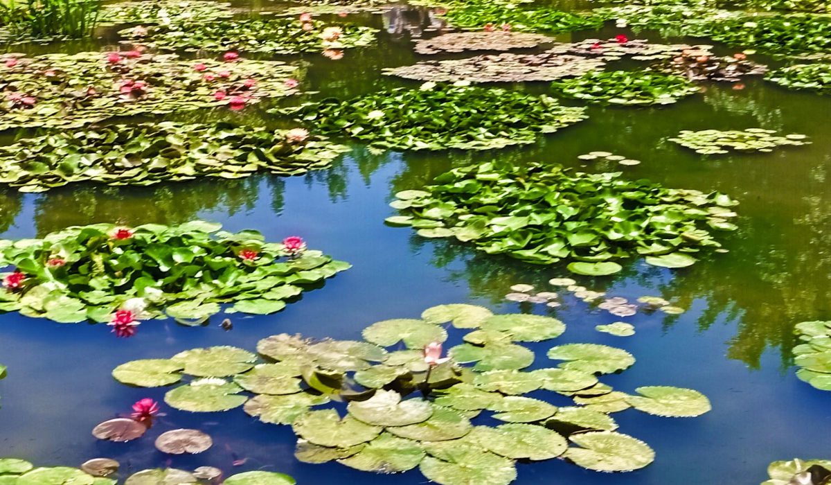 Crocoparc Agadir - Wild Adventure 2