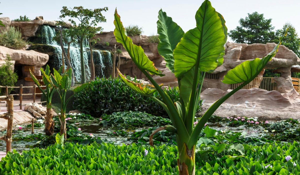 Crocoparc Agadir - Wild Adventure 4