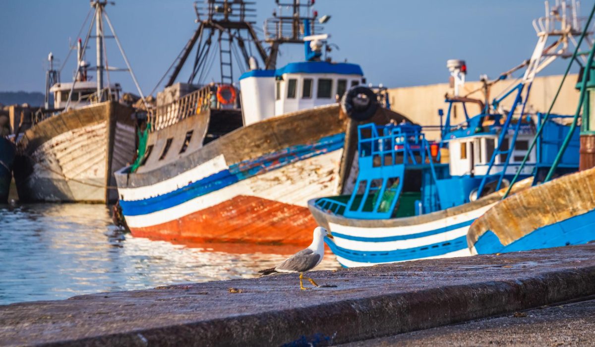 Essaouira Day Trip - Heritage, Culture & Sea Breeze 5