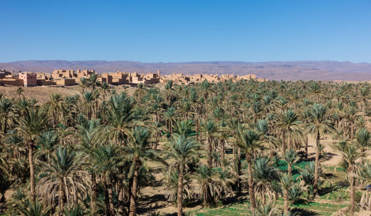 Mini Sahara - Adventure, Culture & Breathtaking Landscapes 2