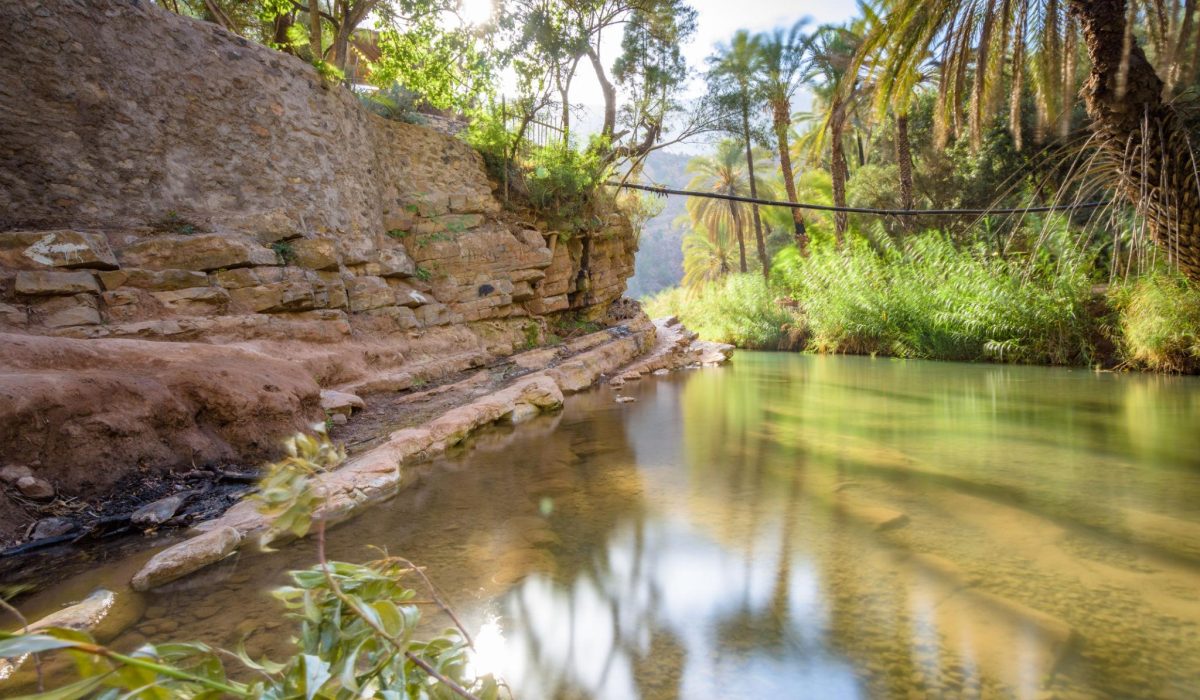 Paradise Valley Day Trip From Agadir - Morocco Flow -.