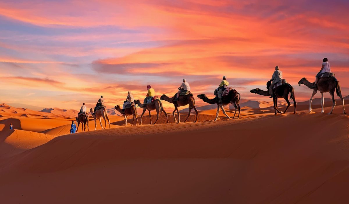 Ye3W7j1xij7Ua-4VtmqcX1s4Qf8qcVYWdTnz459sp4xynfyJV5XR4vZkNCT2UDWPAOT5c05-frzCOSo__MWe7Ngm8IRLQV0PgjTs07Fe5fnJE0Tq2UEecA9SulBYorhgX7AoQd-hkKzc6nn9jI0A_JvrAbElrKqLaJb83qONU5-0V9FthZjdgo9lWgnWoxuX