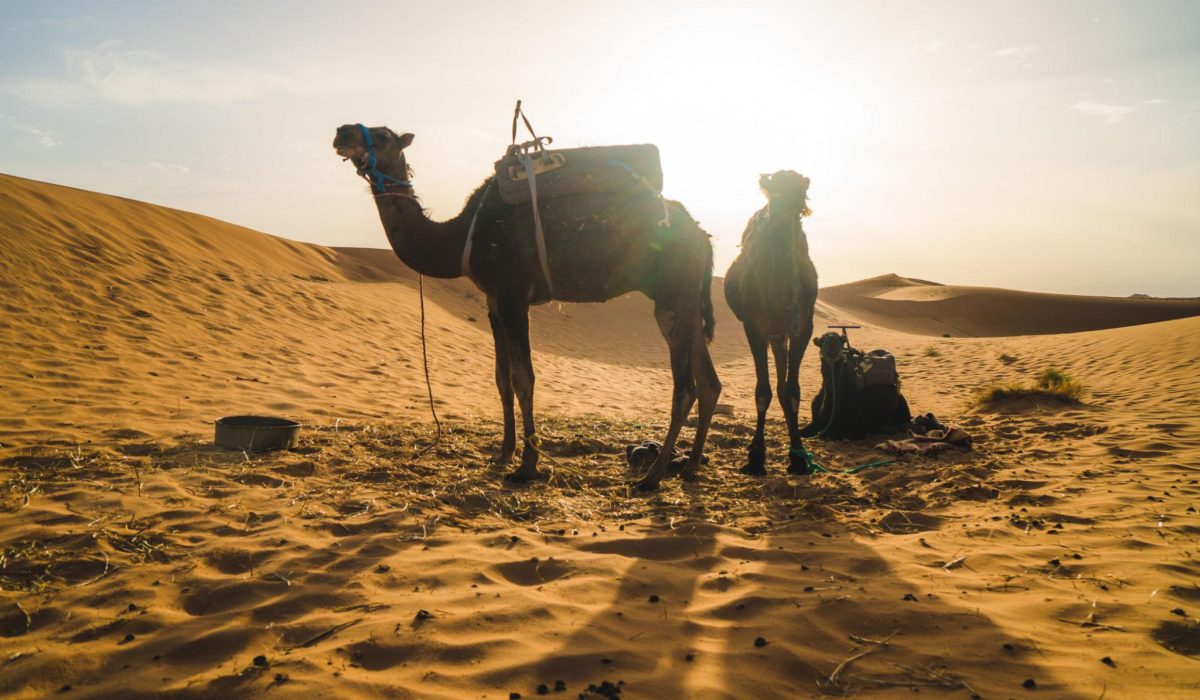 abzze4P6Y2aG0gdq9Rcm_Tre_Zq41TSuKEt_xfy_UAvGURH-zuk1N_tQLKX1WOc1_LddhWv3U8mGOVAs3r1a_vQ6tp8W51SYGO3Lf_WwKtjhx6CQ6YbjM2gAs_HgsXeCzjSQLWESkey79Nfo_aEHZfgXjRk3MbXv_v6QDjHtOUCGq_Vfh8FzYsv42Xb0uWXm