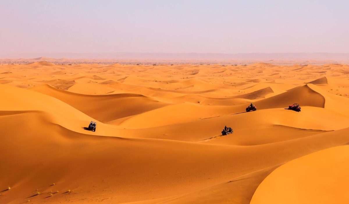 mwWauxTRnnvGFtsiwQYdO9Y0YSvsSSYY9WS7YD9QhEDAR7oqEtyoxlH4544PXMZHmpy3pYt1X9vMId8k-AQTlNC_wOOUHoTIfdqua7mVmYWGEjoRBaCM5rCYAYH1v2HhNzRMxbuAJnTWjqi_b9i9hMarIV_-BgovJWTj7Ghv8HkCvu8-cdO0oYJ660m7_Y2t